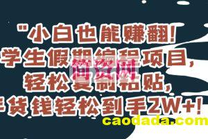 小白也能赚翻！学生假期编程项目，轻松复制粘贴，年货钱轻松到手2W+【揭秘】