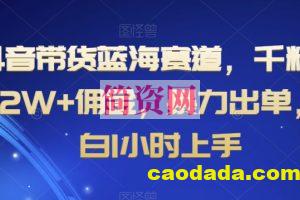 抖音带货蓝海赛道，千粉账号2W+佣金，暴力出单，小白1小时上手【揭秘】