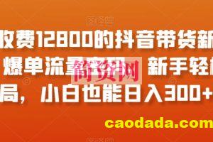 外面收费12800的抖音带货新奇玩法，爆单流量密码，新手轻松入局，小白也能日入300+【揭秘】