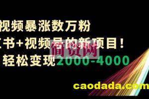 1条视频暴涨数万粉–小红书+视频号的新项目！单月轻松变现2000-4000【揭秘】