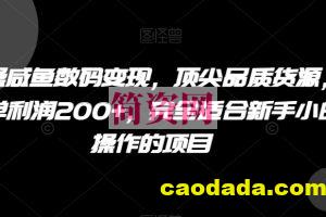 实操咸鱼数码变现，顶尖品质货源，一单利润200+，完全适合新手小白操作的项目【揭秘】