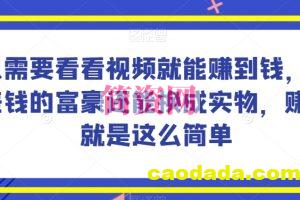 谁做过这么简单的项目？只需要看看视频就能赚到钱，不差钱的富豪还能换成实物，赚钱就是这么简单！【揭秘】