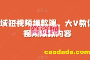 全领域短视频爆款课，全网两千万粉丝大V教你做短视频爆款内容