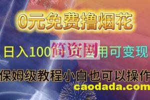 0元免费撸烟花日入1000+可自用可变现保姆级教程小白也可以操作【仅揭秘】