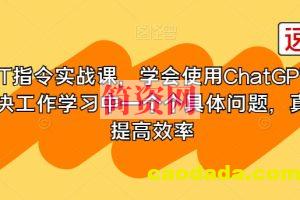 GPT指令实战课，学会使用ChatGPT，解决工作学习中一个个具体问题，真正提高效率