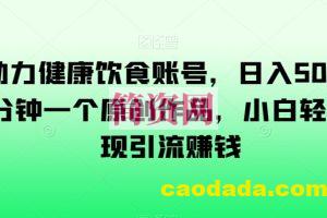 AI助力健康饮食账号，日入500+，一分钟一个原创作品，小白轻松实现引流赚钱【揭秘】