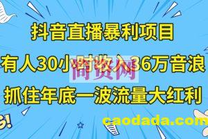 抖音直播暴利项目，有人30小时收入36万音浪，公司宣传片年会视频制作，抓住年底一波流量大红利【揭秘】