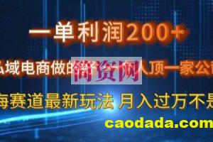 一单利润200私域电商做的好，一个人顶一家公司蓝海赛道最新玩法【揭秘】