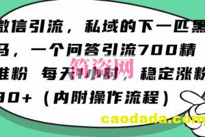 怎么搞精准创业粉？微信新赛道，每天一小时，利用Ai一个问答日引100精准粉