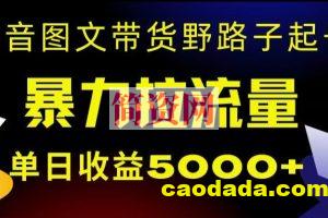 抖音图文带货暴力起号，单日收益5000+，野路子玩法，简单易上手，一部手机即可【揭秘】