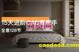 15天进阶CAD高手