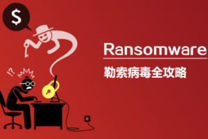 【美创】Ransomware all in one