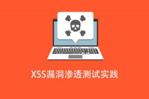 XSS漏洞渗透测试实践