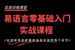 2024最新易语言基础快速入门到精通教程：1天入门快速开发自己的软件