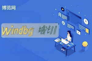 博览网windbg培训.net