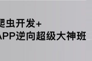 路飞爬虫超级逆向班8期