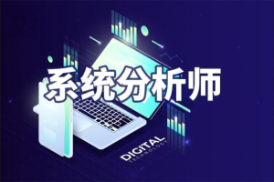 2024年系统分析师【51CTO】