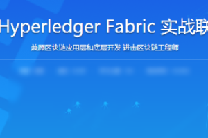 学习Hyperledger Fabric实战联盟链