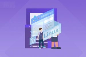 极客事纪： Linux运维云计算SER架构师视频课程